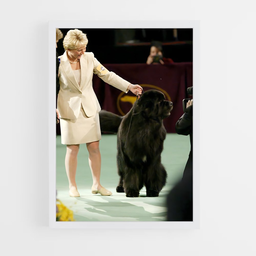 ap-westminster dog show-3 cadre Blanc