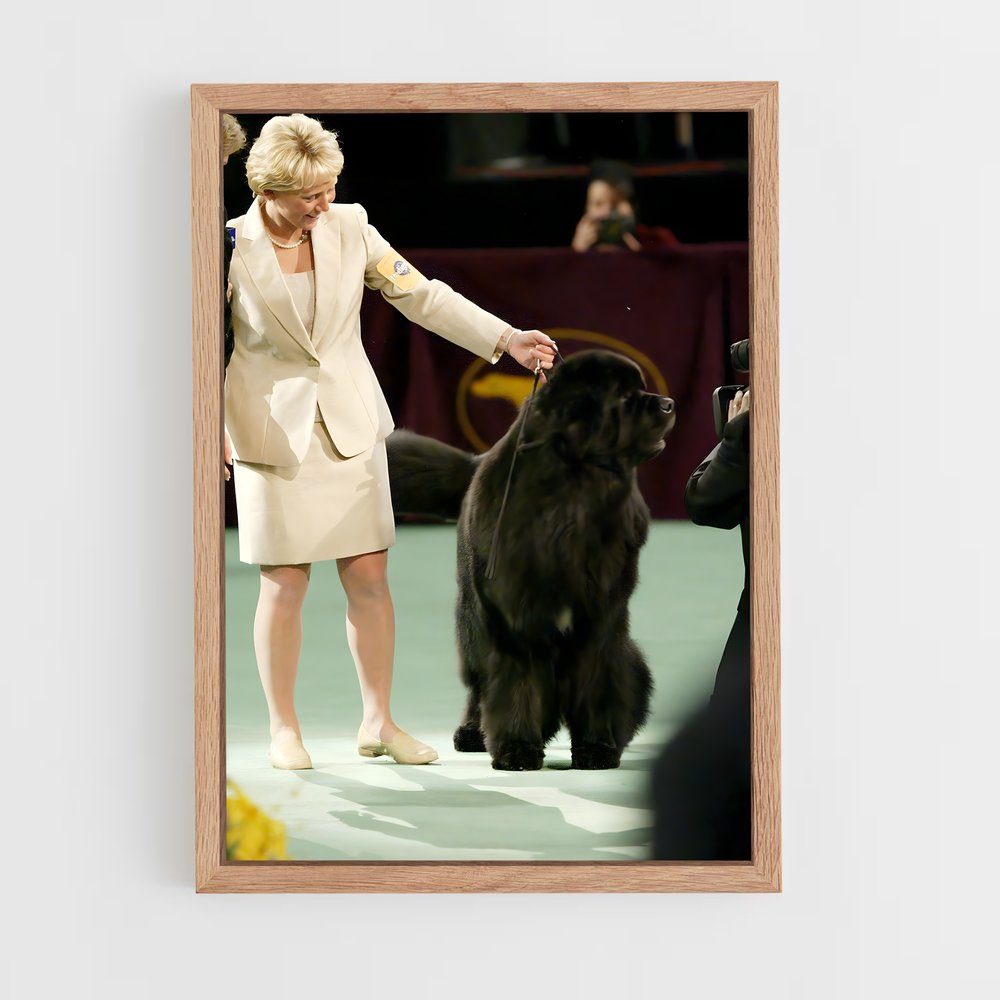 ap-westminster dog show-3 cadre Bois clair