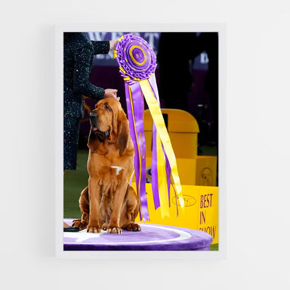 ap-westminster dog show-4 cadre Blanc