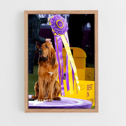 ap-westminster dog show-4 cadre Bois clair