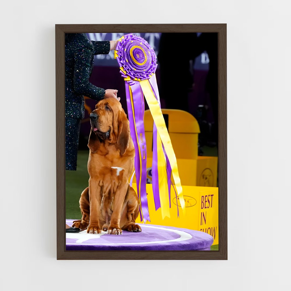 ap-westminster dog show-4 cadre Bois foncé