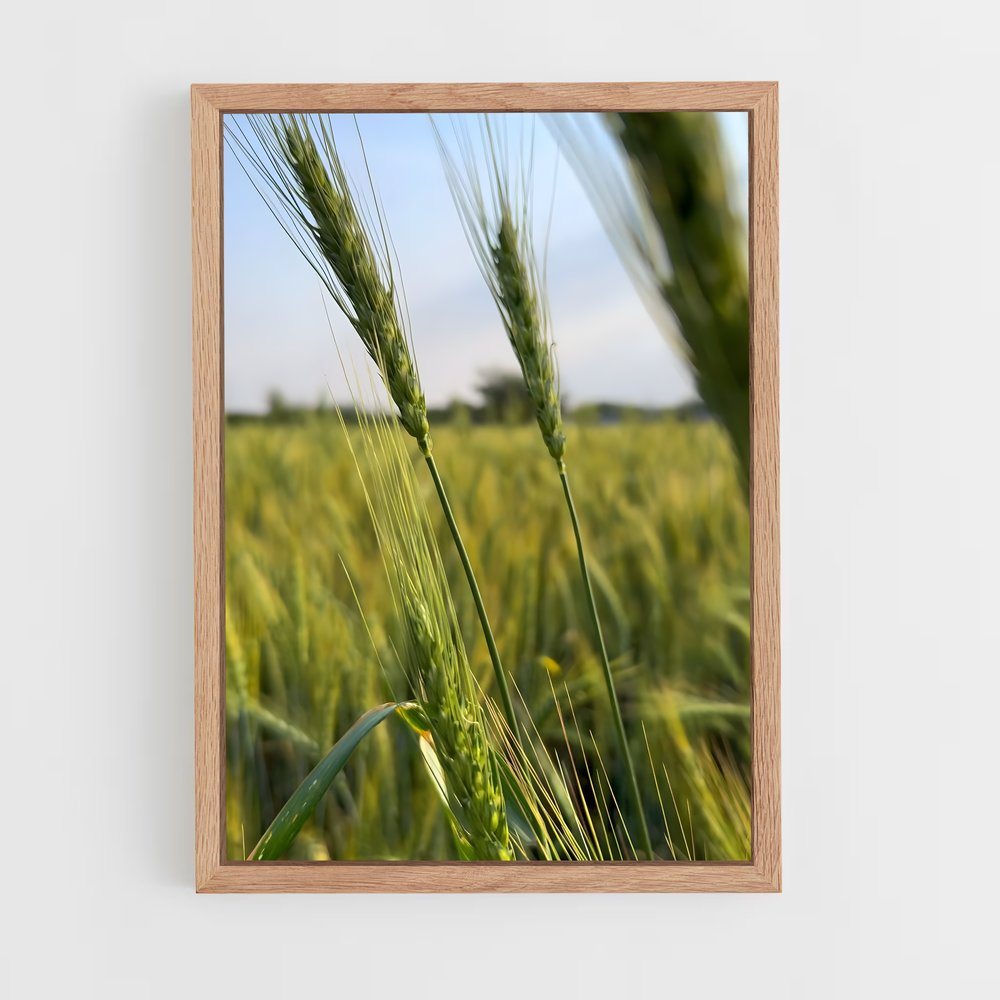 ap-wheat-4 cadre Bois clair
