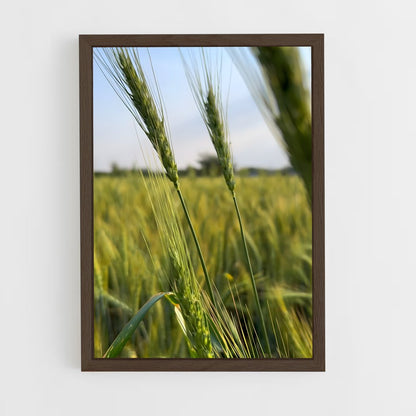 ap-wheat-4 cadre Bois foncé