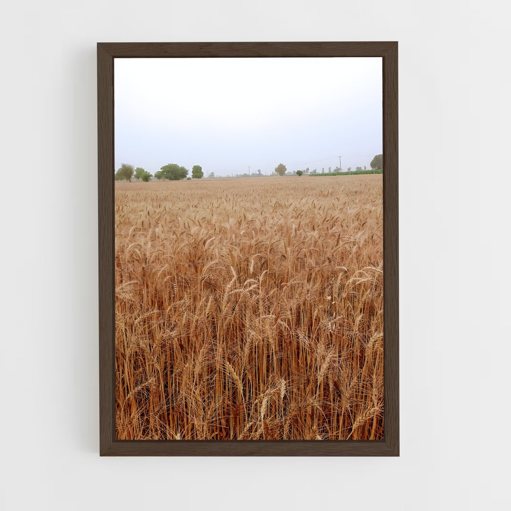 ap-wheat-7 cadre Bois foncé