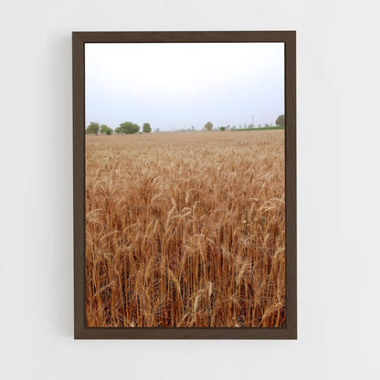 ap-wheat-7 cadre Bois foncé