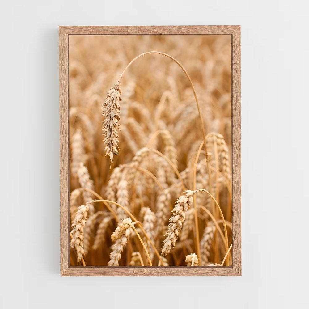ap-wheat-8 cadre Bois clair