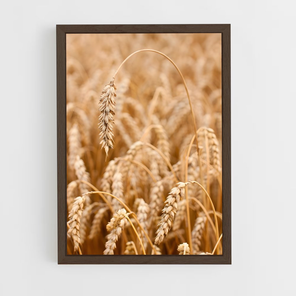 ap-wheat-8 cadre Bois foncé