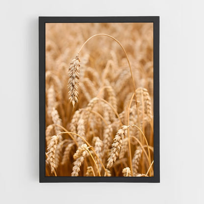 ap-wheat-8 cadre Noir