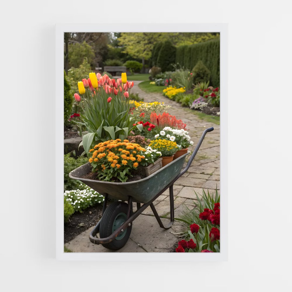 ap-wheelbarrow-2 cadre Blanc