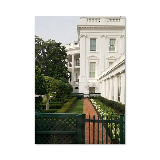 Poster White house 93355