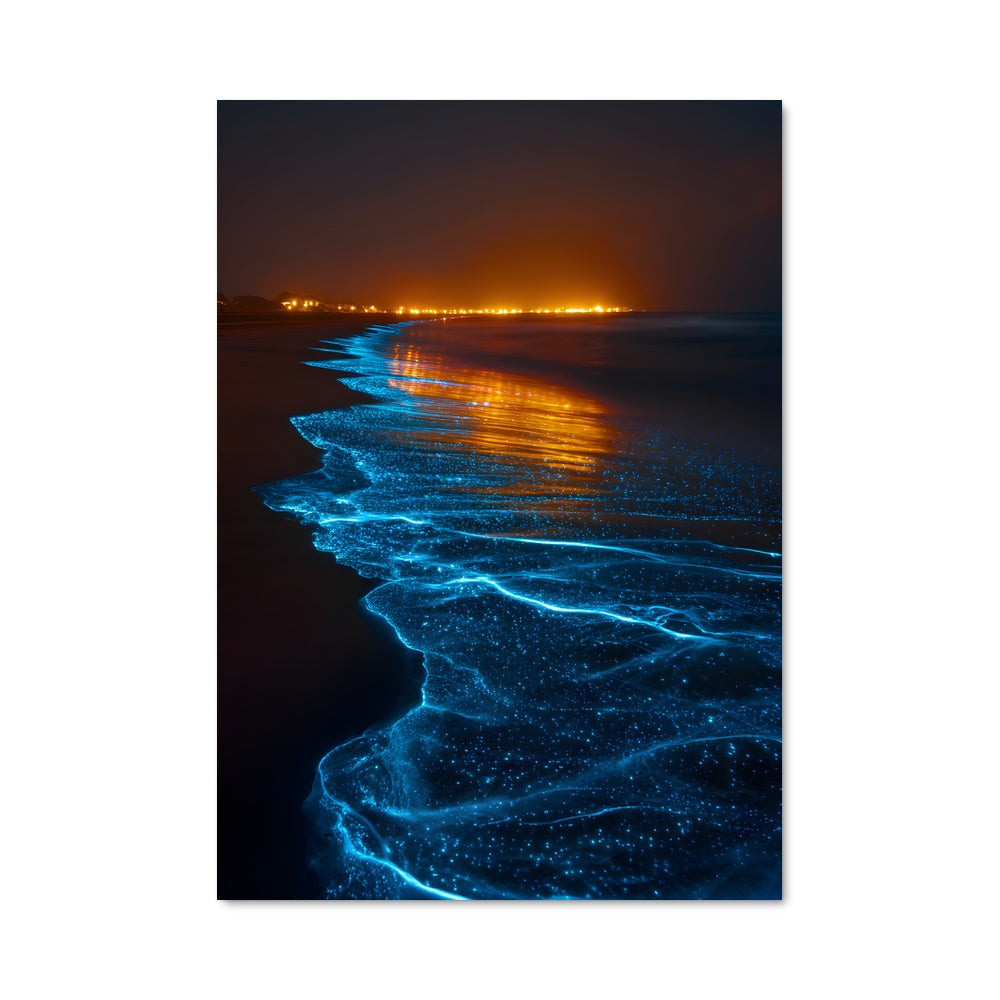 Poster Lumières de la Plage