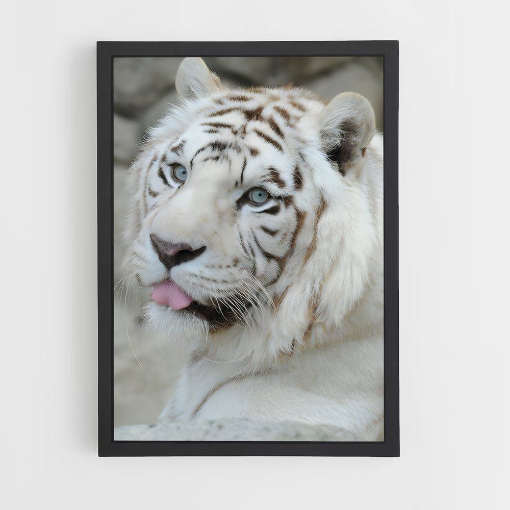 ap-white tiger-12 cadre Noir