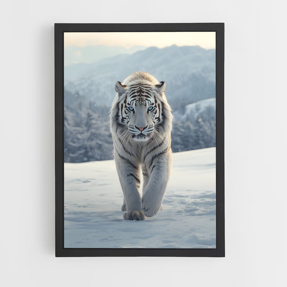 ap-white tiger-18 cadre Noir