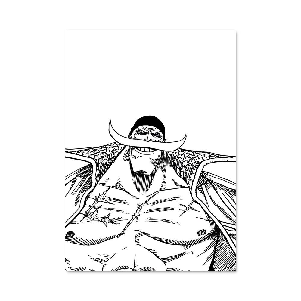 Poster Whitebeard 31971