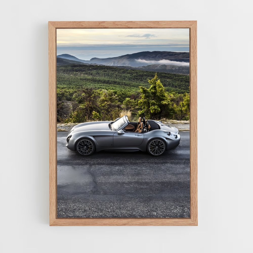 ap-wiesmann-3 cadre Bois clair