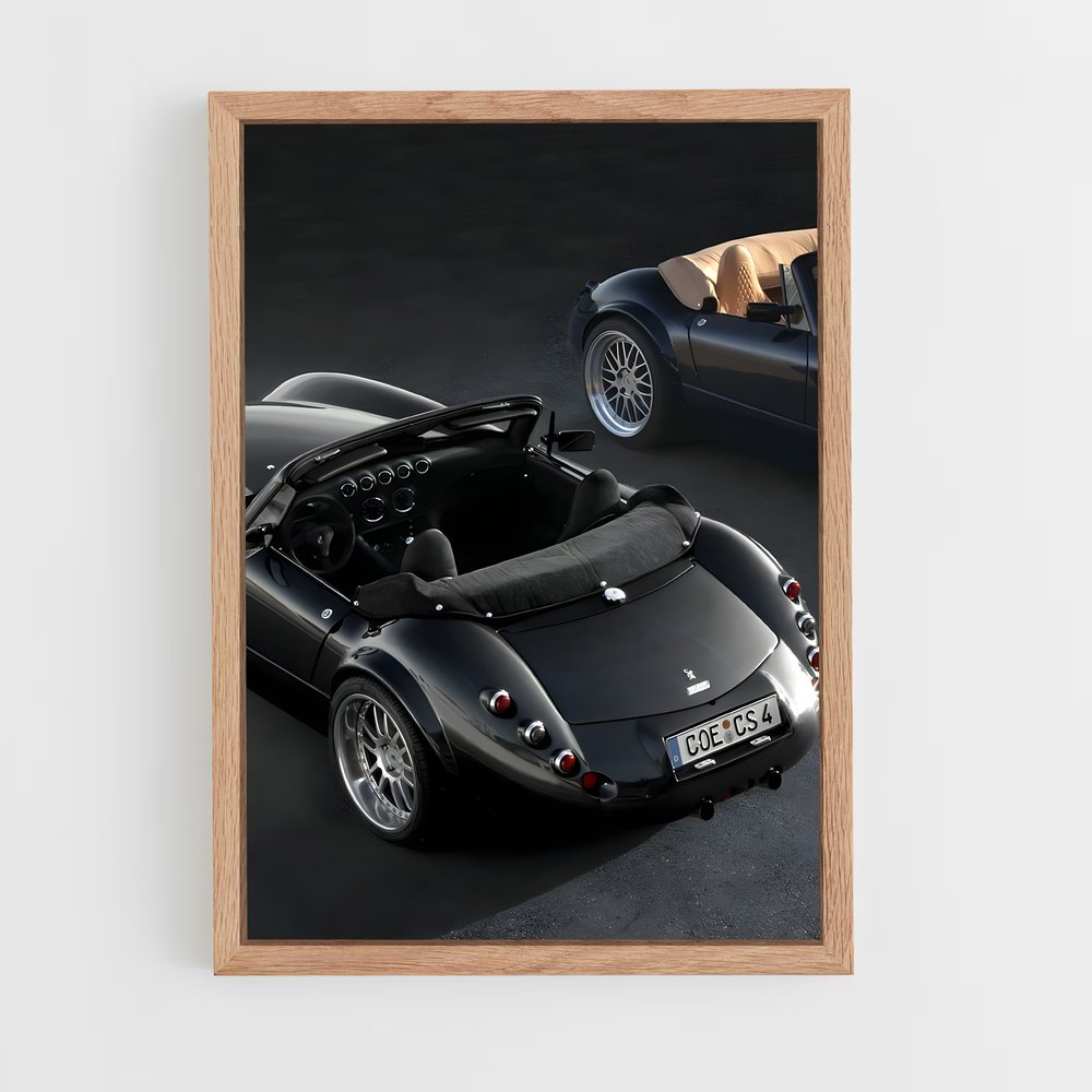 ap-wiesmann-4 cadre Bois clair