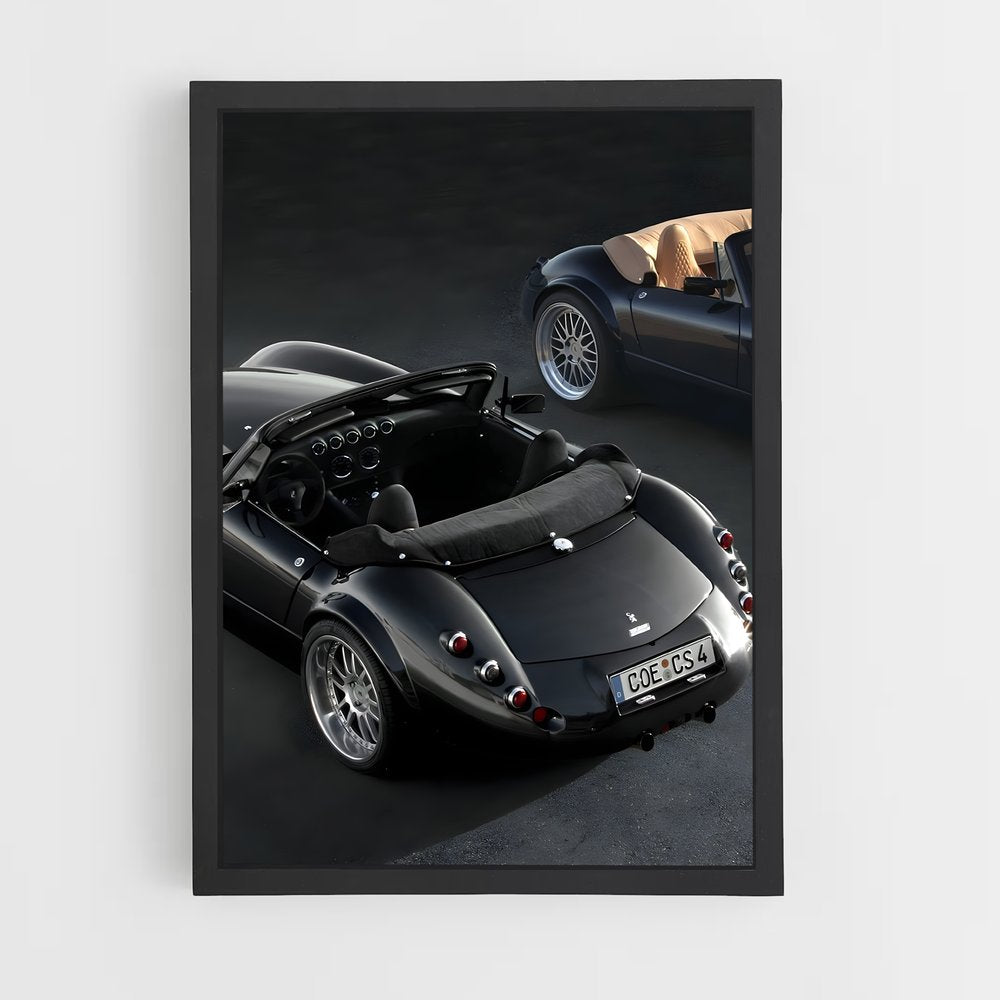 ap-wiesmann-4 cadre Noir