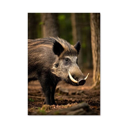 Poster Wild boar 84599