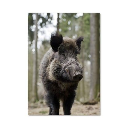 Poster Wild boar 84604