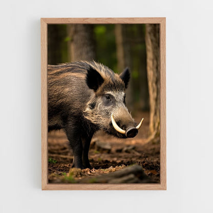 ap-wild boar-1 cadre Bois clair