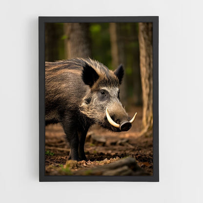 ap-wild boar-1 cadre Noir