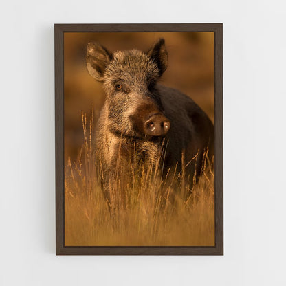 ap-wild boar-2 cadre Bois foncé