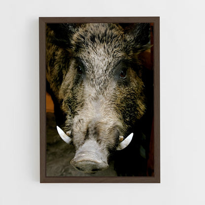 ap-wild boar-3 cadre Bois foncé