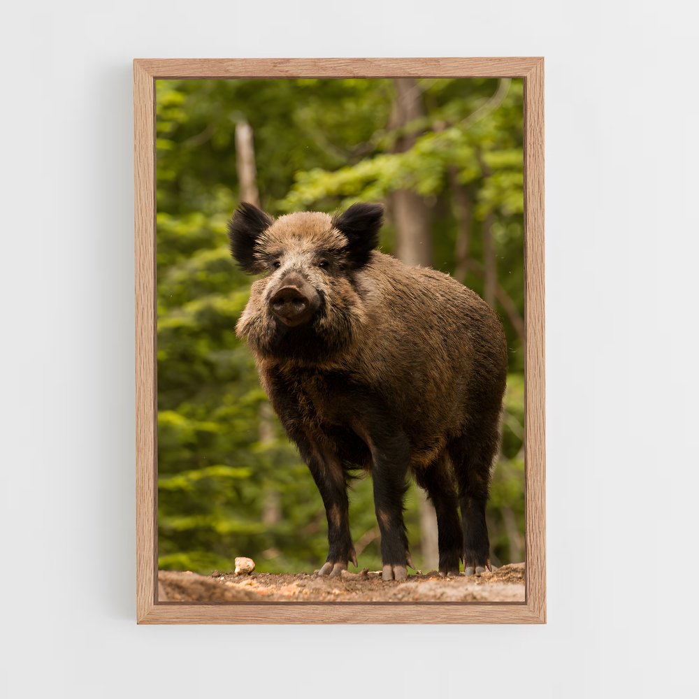 ap-wild boar-6 cadre Bois clair
