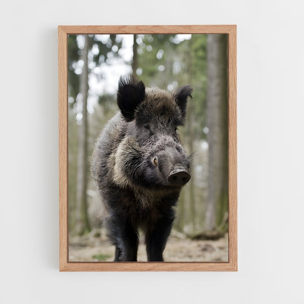 ap-wild boar-7 cadre Bois clair