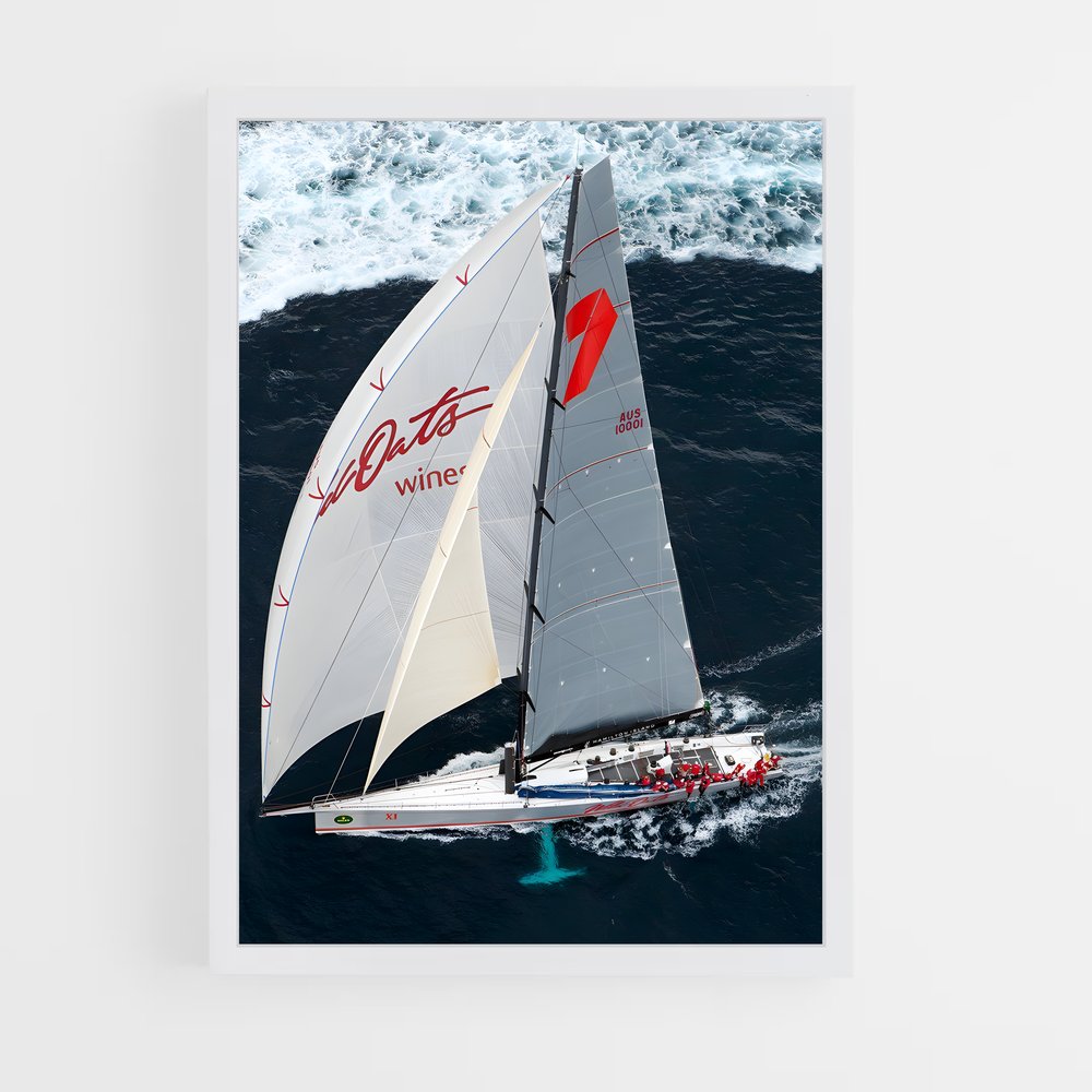 ap-wild oats xi-1 cadre Blanc