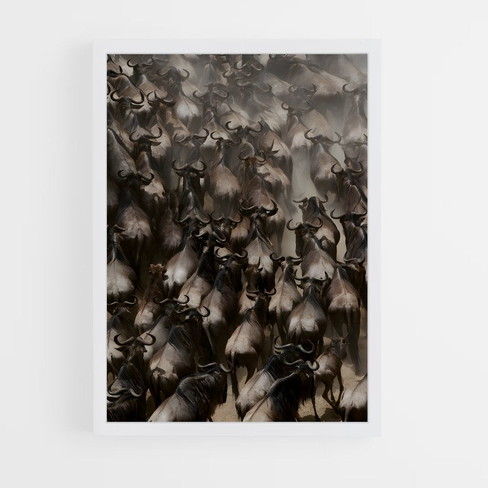 ap-wildebeest-1 cadre Blanc