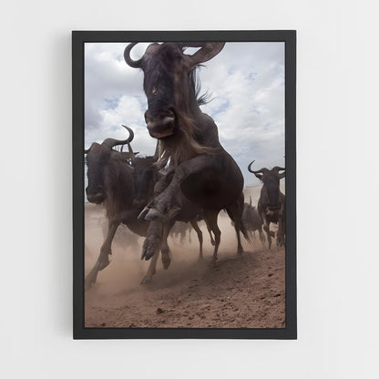 ap-wildebeest-2 cadre Noir