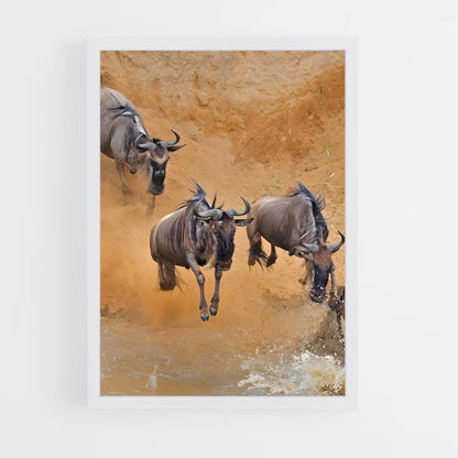 ap-wildebeest-3 cadre Blanc