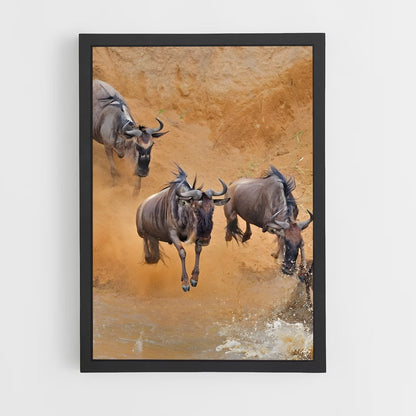 ap-wildebeest-3 cadre Noir