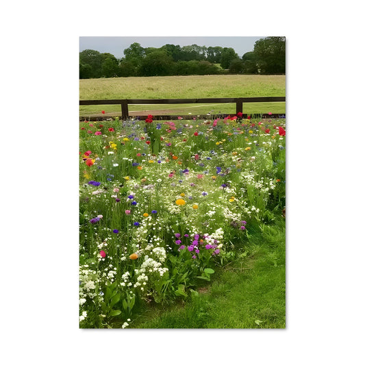 Poster Wildflower field 97407