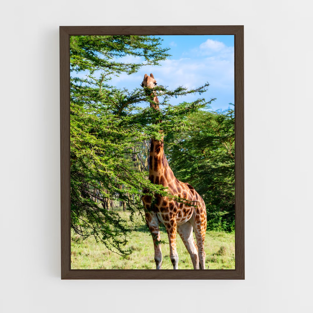 ap-wildlife habitat-2 cadre Bois foncé