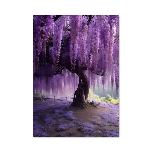 Poster Wisteria Dream