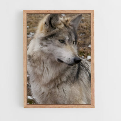ap-wolf-10 cadre Bois clair