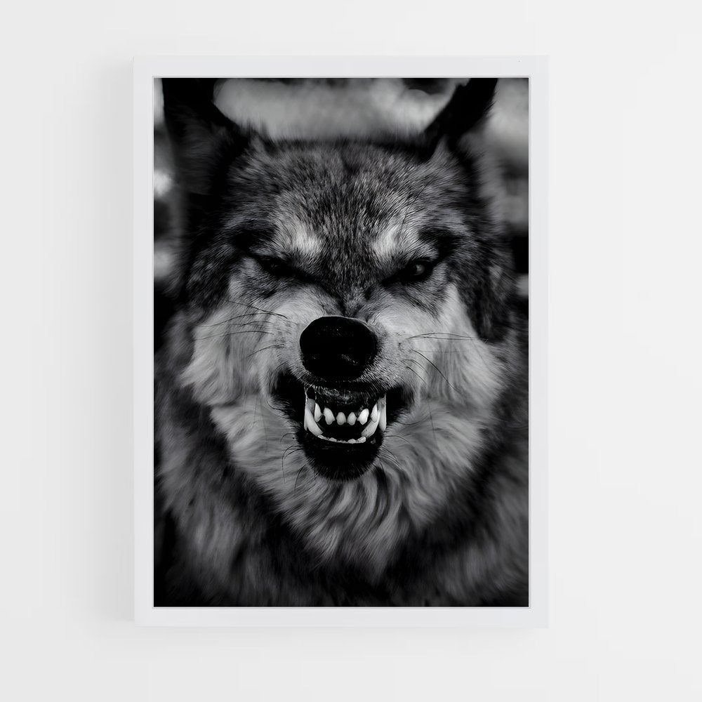 ap-wolf-6 cadre Blanc