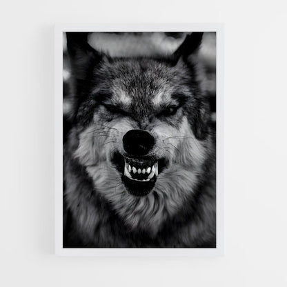 ap-wolf-6 cadre Blanc