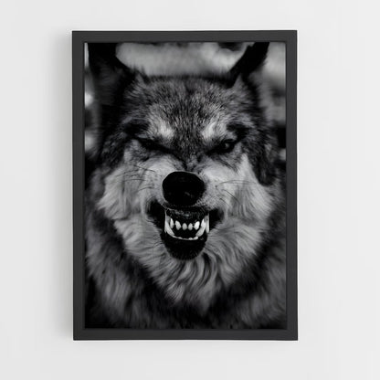 ap-wolf-6 cadre Noir