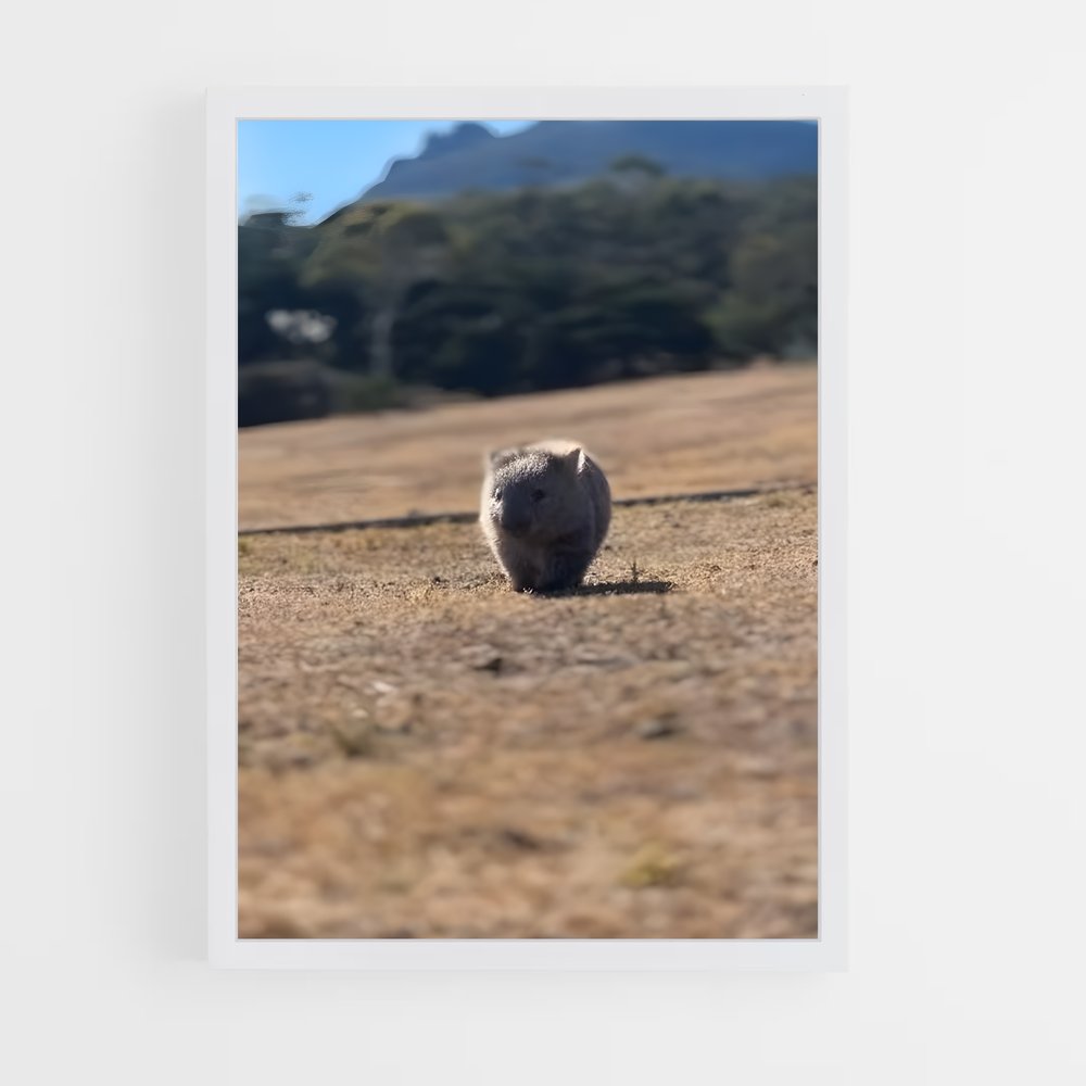 ap-wombat-2 cadre Blanc