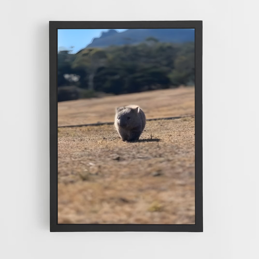 ap-wombat-2 cadre Noir
