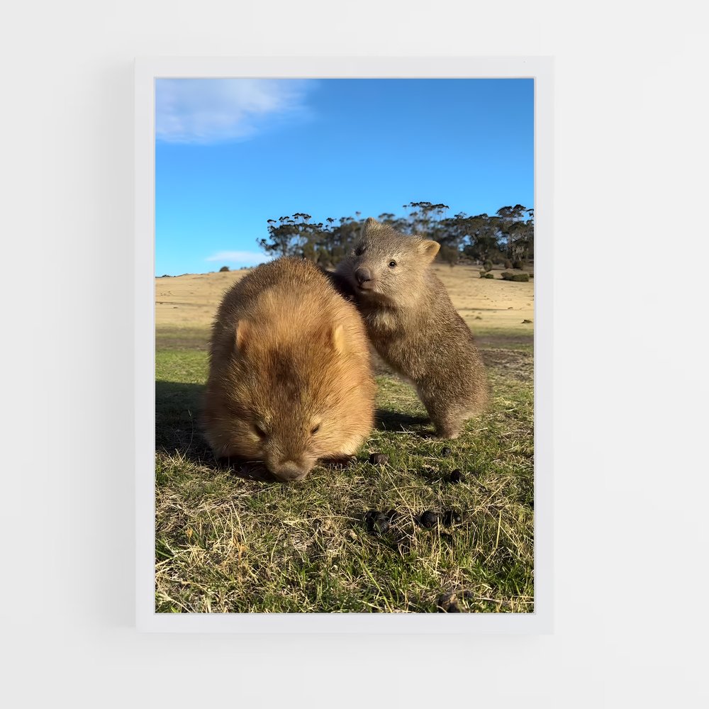 ap-wombat-3 cadre Blanc