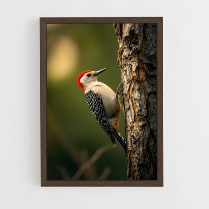 ap-woodpecker-7 cadre Bois foncé