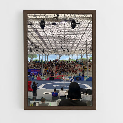 ap-world taekwondo grand prix-1 cadre Bois foncé