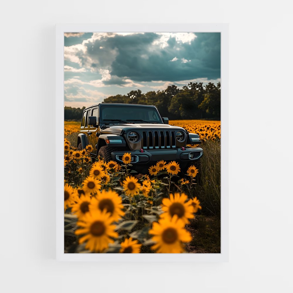 ap-wrangler rubicon-4 cadre Blanc