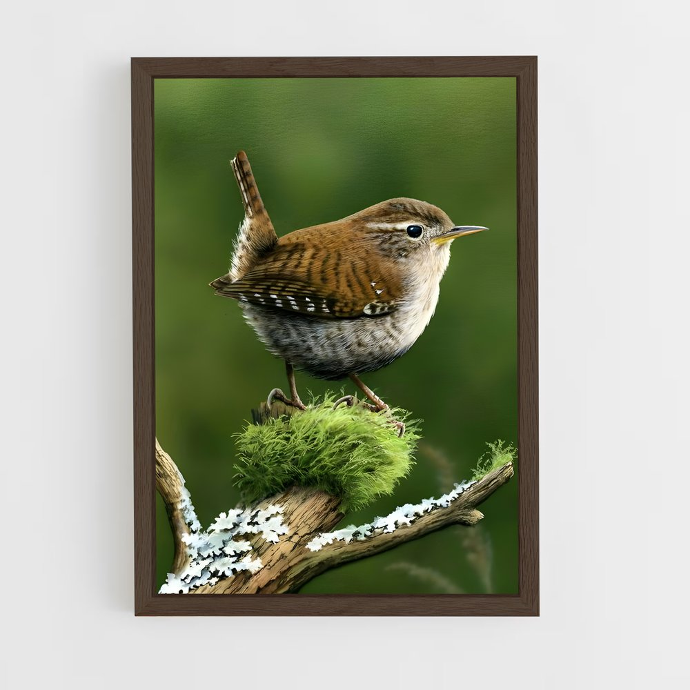 ap-wren-3 cadre Bois foncé