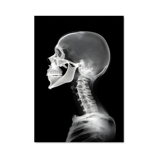 Poster Skeleton's Echo