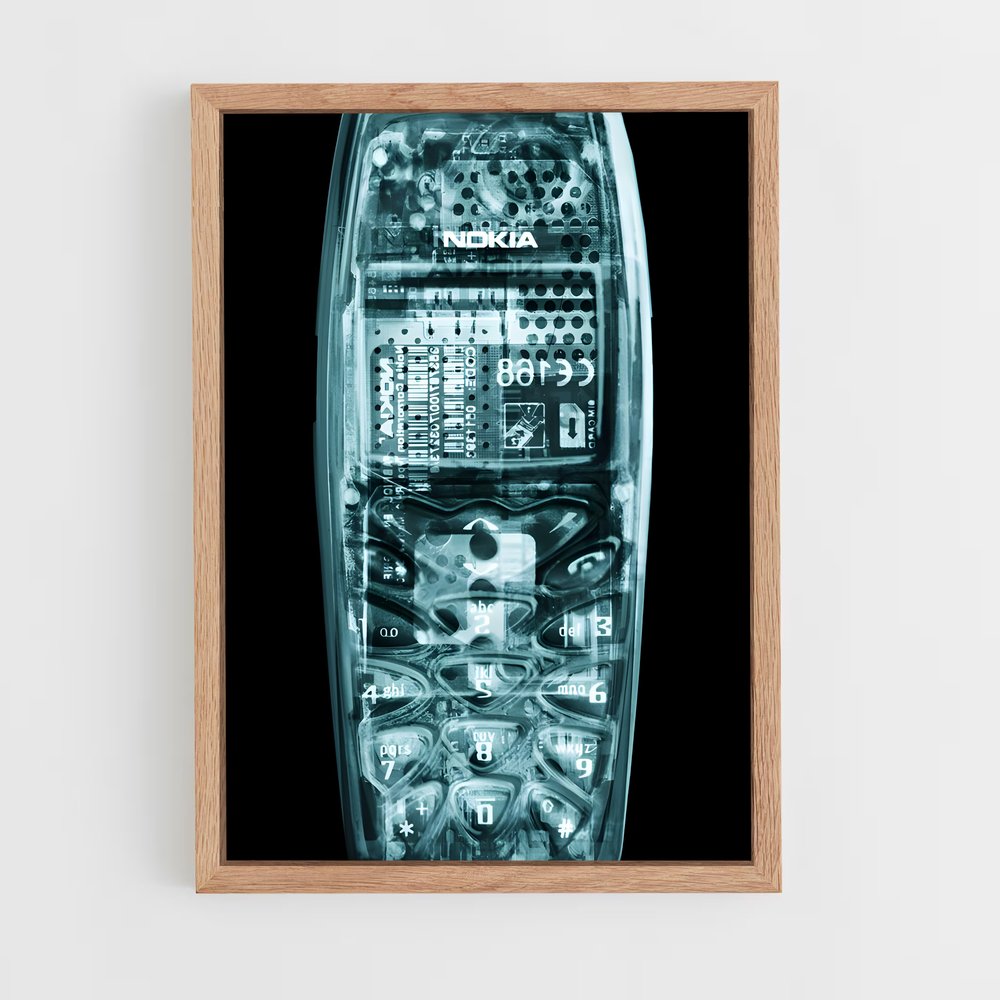ap-x-rays-4 cadre Bois clair